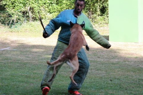 479af372-0a14-4ba4-9a74-9e299450dd66